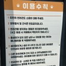 아이러브마이독 | 광주 애견카페 운동장이 나눠져있는 아이 러브 마이독 에서 놀다왔어요