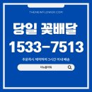 광주꽃배달, 중요한 날 챙기는 축하 · 근조화환과 개업화분 당일 꽃배달 후기