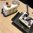 청해펜션 | 동해 묵호 어달을담다 304호, 오션뷰 감성 독채펜션 솔직후기