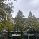 대전중학교 | [대전]ICC웨딩홀 그랜드볼룸 지인 하객후기