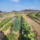 대농2농장 이미지