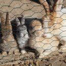 비토섬신우리조트 이미지