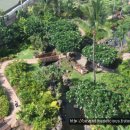 호텔알로하 이미지