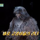 한국추어탕 이미지