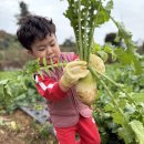 국현농장 이미지