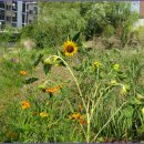 학의천변 이미지