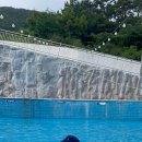 대산오션뷰 스파펜션&리조트 이미지