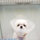 어울림동물병원 이미지