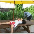 꽃피는민박 이미지