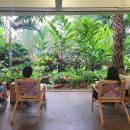 부천호수식물원 수피아 이미지