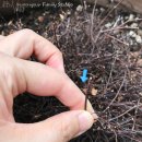 이발하기좋은날 이미지