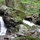 유치자연휴양림 이미지