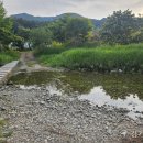 대기3리 이미지