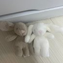 현대김포막스마라 | [지미추쇼핑] 김포현대아울렛 여름신발쇼핑(지미추, 막스마라, 페레가모, 코치) & 젤리캣키링