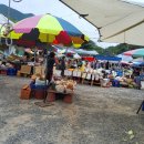 노고지리 이미지