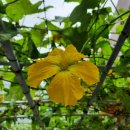 (주)수호천사 이미지