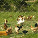 윤씨네농장 이미지