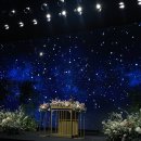 플랜티(plenty) 이미지