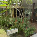 편의마트 | 알마 리조트 편의시설 🛒 알마마트 솔직후기 (가격·할인 꿀팁까지!)