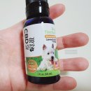 DOG사랑 | cbd dog calming tincture 강아지용 햄프씨드 오일!