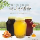 2019 생산 국내산 햇꿀,햇화분,햇로얄제리 판매 이미지