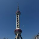 골든튤립당구클럽 | [여행/중국] NOL 상해1박2일 여행 코스부터 위치좋은 가성비 상해호텔 추천까지!