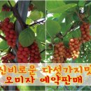 해솔농장 이미지