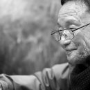 노은초등학교(병설) 이미지