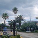 서귀포교회 이미지