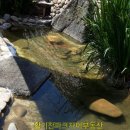 활기찬파크자이공인중개사사무소 네이버블로그