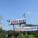 싱싱장어 | [경기/안산]대부도 맛집 추천 갓 잡은 싱싱한 장어 &lt;힘센장어 대부도본점&gt; 내돈내산 후기