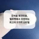펫스타일 이미지