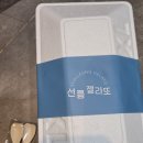아이스걸크림보이강남대치