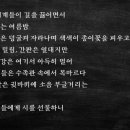 아마존수족관 - 김해시 금관대로 1199 | 아마존수족관