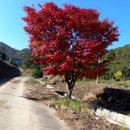 영신자전거 이미지