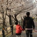 덕풍천 산책로 이미지