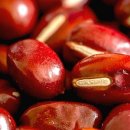 준 휘트니스 이미지