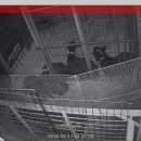 염소우리 이미지