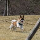 소노펠리체 Par3 이미지