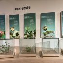 목화파크 이미지
