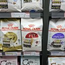 야옹아 멍멍해봐 평거점 이미지