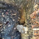 반포본동 이미지