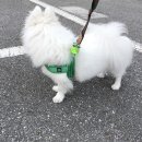 멍's 톡톡 이미지