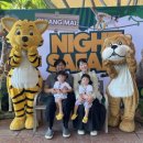 11620-23-10-8 | [23개월아기] 치앙마이 7박 8일_마지막 날(치앙마이나이트사파리)