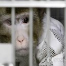 ㈜오리엔트바이오 이미지