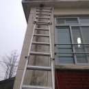 망성초등학교 이미지