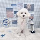 체리쉬몽 이미지