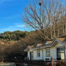 제부 포레스트 이미지