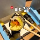 김밥먹기좋은날 | 여수 여행 코스 간단하게 먹기 좋은 바다김밥 (계란, 갓김치김밥 후기)🩵