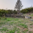 상창리-2 이미지